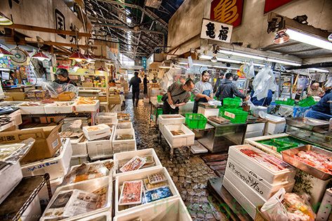 Những Khám Phá Thú Vị Ở Tokyo Phần 1 - Chợ trung tâm Tsukiji