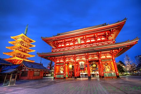 Những Khám Phá Thú Vị Ở Tokyo Phần 2 - Ghé thăm các ngôi đền Nhật Bản