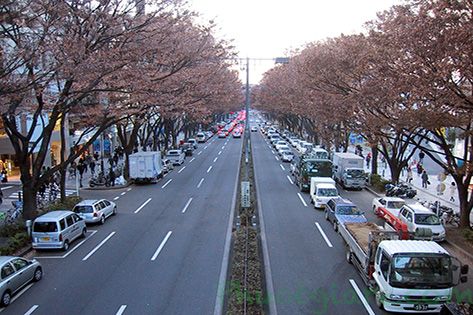 Những Khám Phá Thú Vị Ở Tokyo Phần 2 - Đại lộ Omote-sando