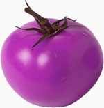 1942purple_tomato.jpg