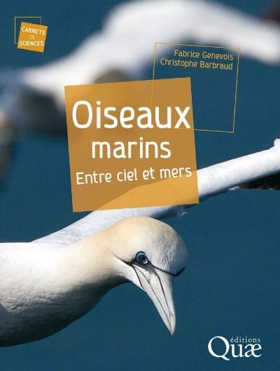 Florilège de livres pour les vacances