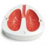 Coughing-Lung-Cigarette-Ashtray_2.jpg