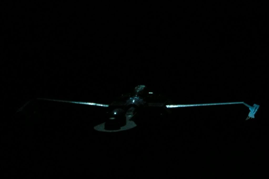 LightontheWings.jpg