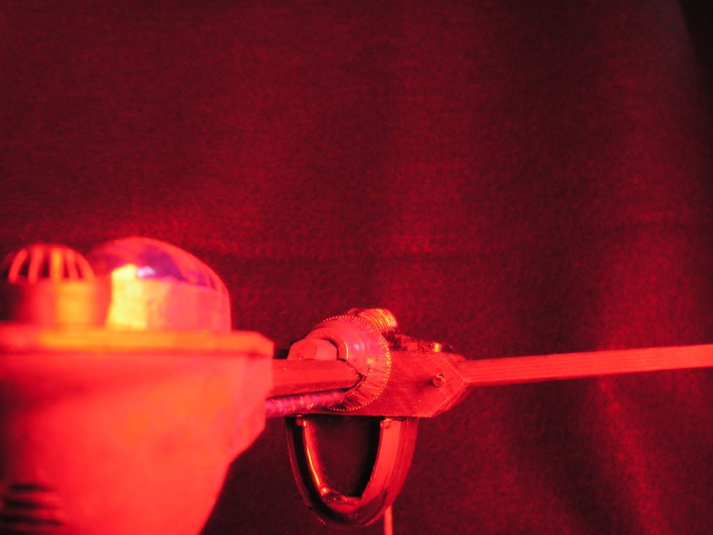 RedCloseup.jpg