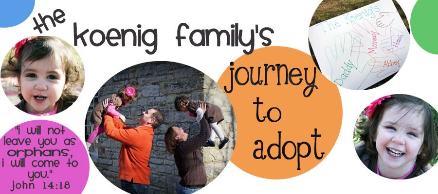 Our Journey to Adopt