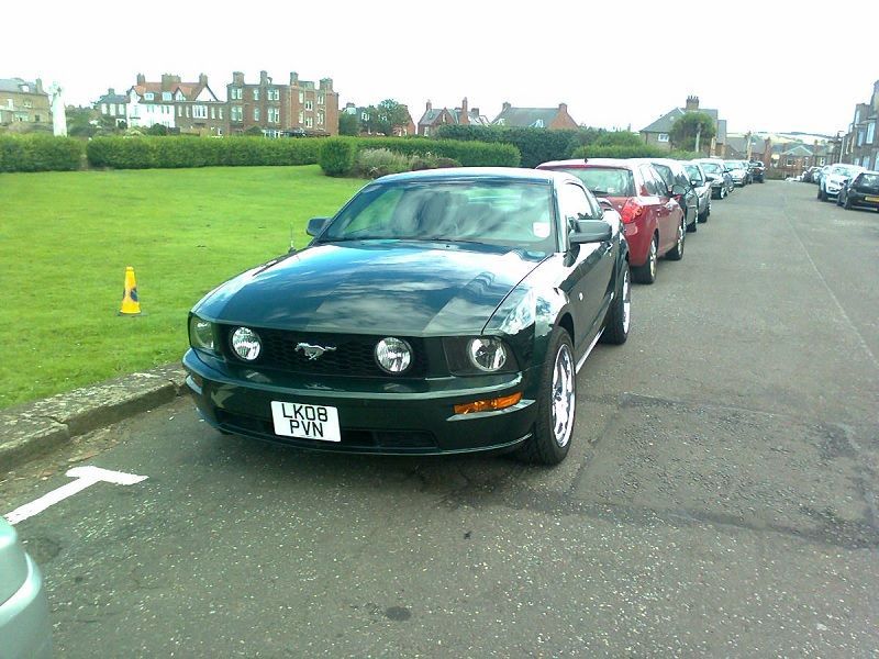 http://i1205.photobucket.com/albums/bb428/JohnSandie/Mustang_zps13abdd9d.jpg