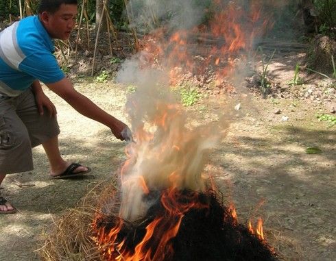 Ở Gò Vấp chỗ nào bán Cá Lóc Đồng! Xin chỉ giáo! - 2