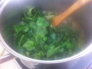 photo-96.jpg