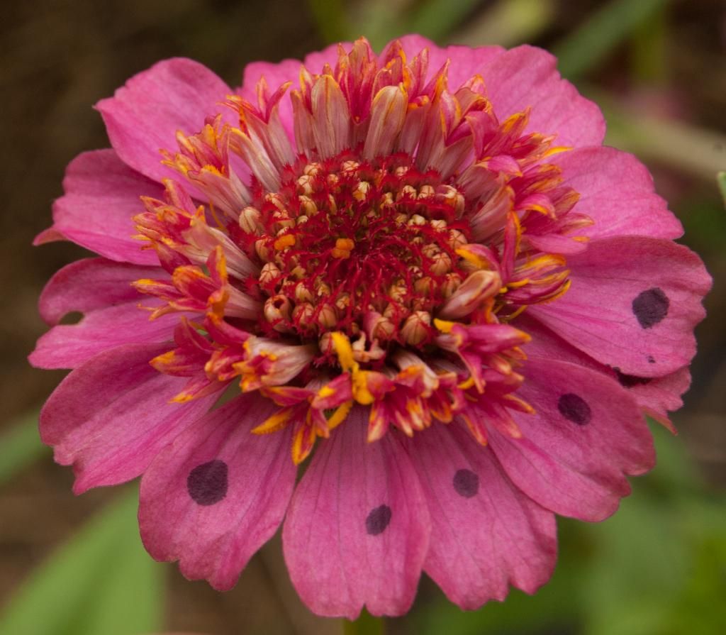 W14 photo W148-12-14_zps02d78d56.jpg