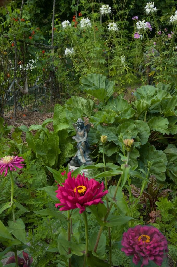Book fairy in the zinnia bed photo bookfairyinthezinniabed_zpsfae6e410.jpg