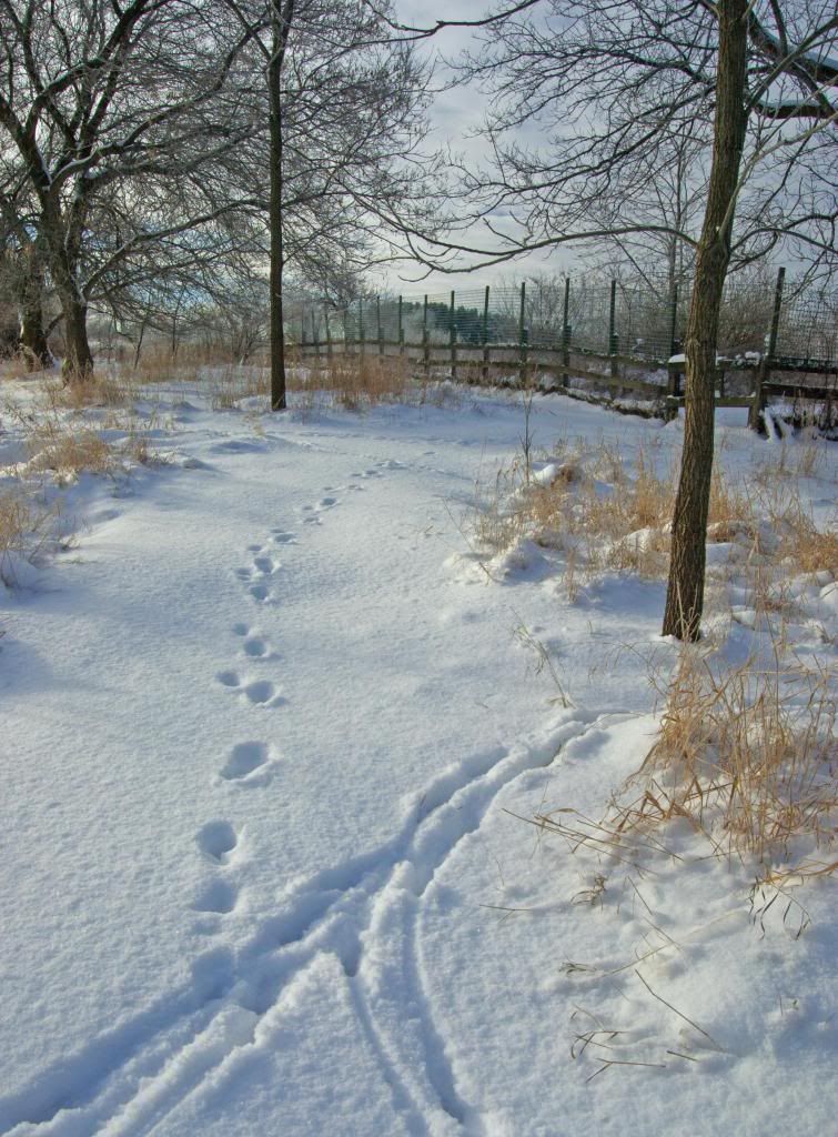  photo pathtothecorral_zps9121a2d1.jpg