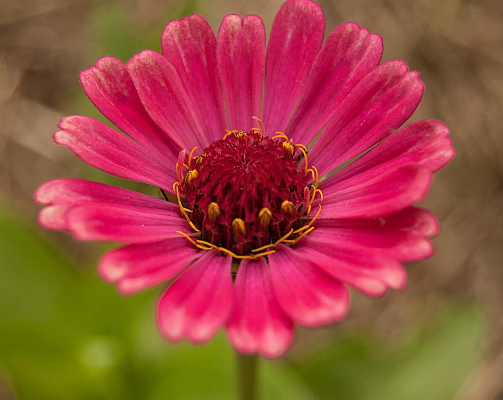  photo whirligig2_zps2c923b55.jpg