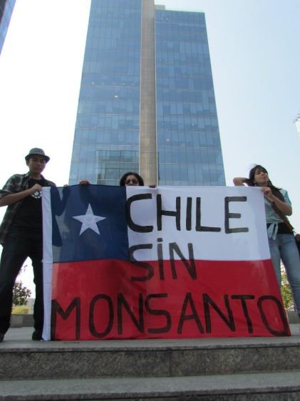http://i1205.photobucket.com/albums/bb430/verdadahora/chilesinmonsanto.jpg