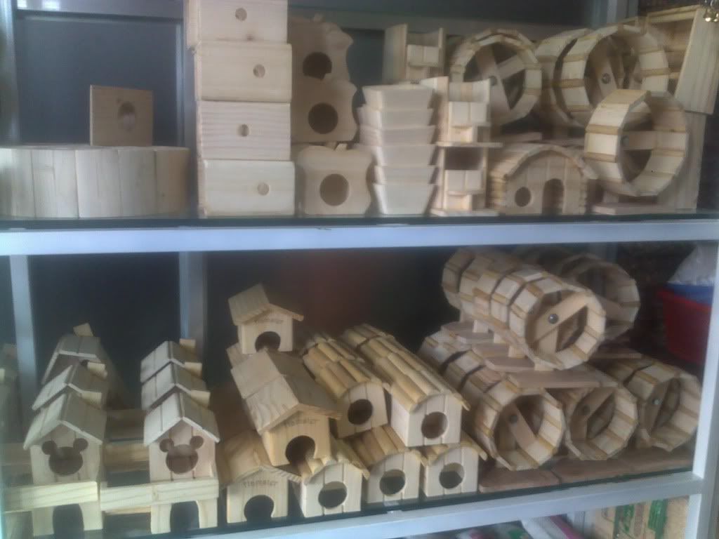 KITTY Petshop 186 Nguyễn Văn Cừ , TP.BUÔN MA THUỘT - 3