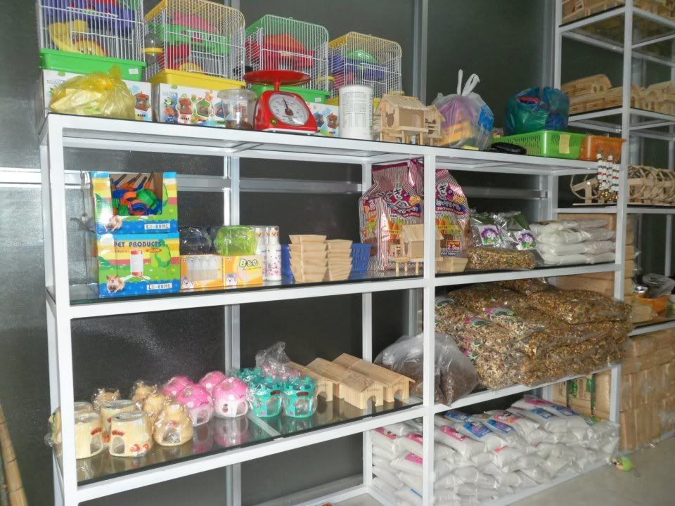 KITTY Petshop 186 Nguyễn Văn Cừ , TP.BUÔN MA THUỘT - 5