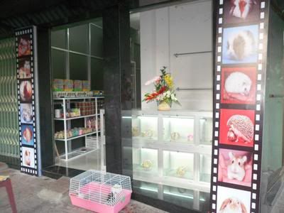 KITTY Petshop 186 Nguyễn Văn Cừ , TP.BUÔN MA THUỘT - 1