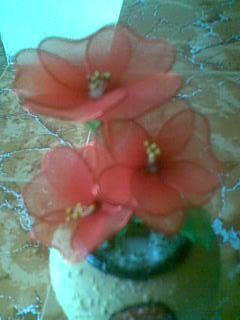 Hiến Tiểu Cầu ngày 10/7, 14/7, và 15/7 - 2