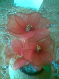 Hiến Tiểu Cầu ngày 10/7, 14/7, và 15/7 - 3