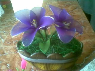 Hiến Tiểu Cầu ngày 10/7, 14/7, và 15/7 - 4