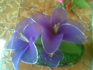 Hiến Tiểu Cầu ngày 10/7, 14/7, và 15/7 - 5