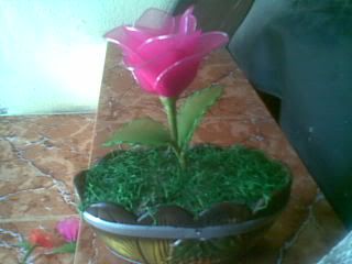 Hiến Tiểu Cầu ngày 10/7, 14/7, và 15/7 - 6