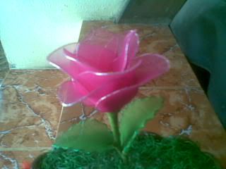 Hiến Tiểu Cầu ngày 10/7, 14/7, và 15/7 - 7