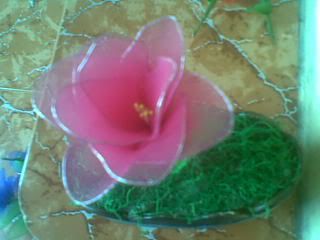 Hiến Tiểu Cầu ngày 10/7, 14/7, và 15/7 - 8