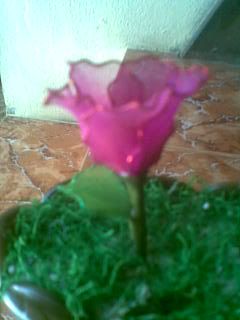 Hiến Tiểu Cầu ngày 10/7, 14/7, và 15/7 - 9