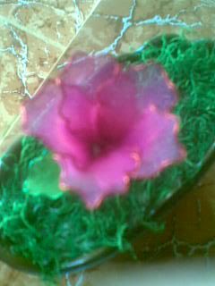 Hiến Tiểu Cầu ngày 10/7, 14/7, và 15/7 - 10