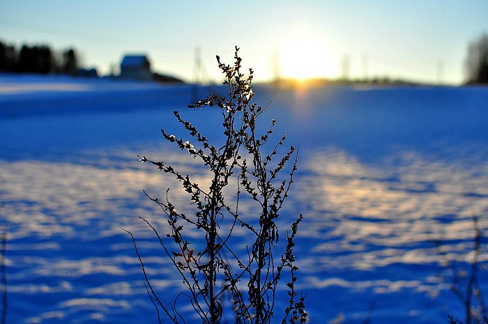 photo DSC_0722_zps59a2d0e1.jpg