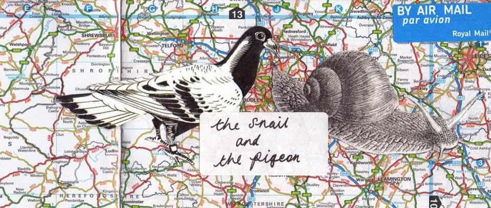 The Snail and the Pigeon