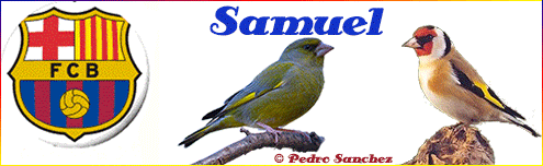 Imagen