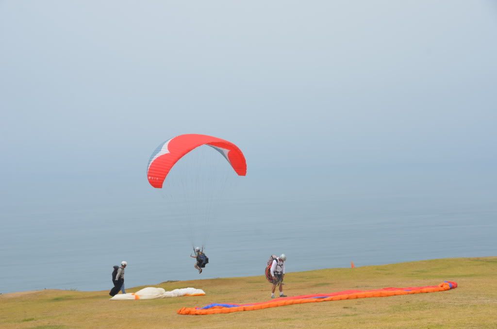 photo
DNG_3443_zpsc8f0f674.jpg