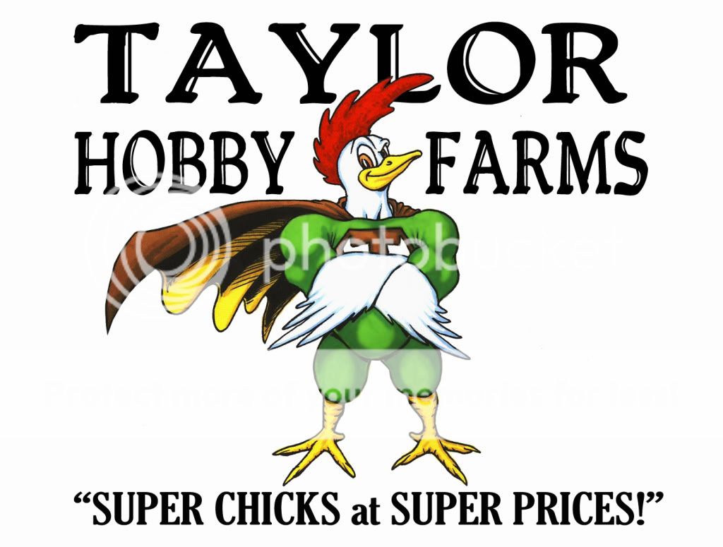 Taylor Hobby Farms 10 Assorted Hatching Eggs for Incubator Many RARE