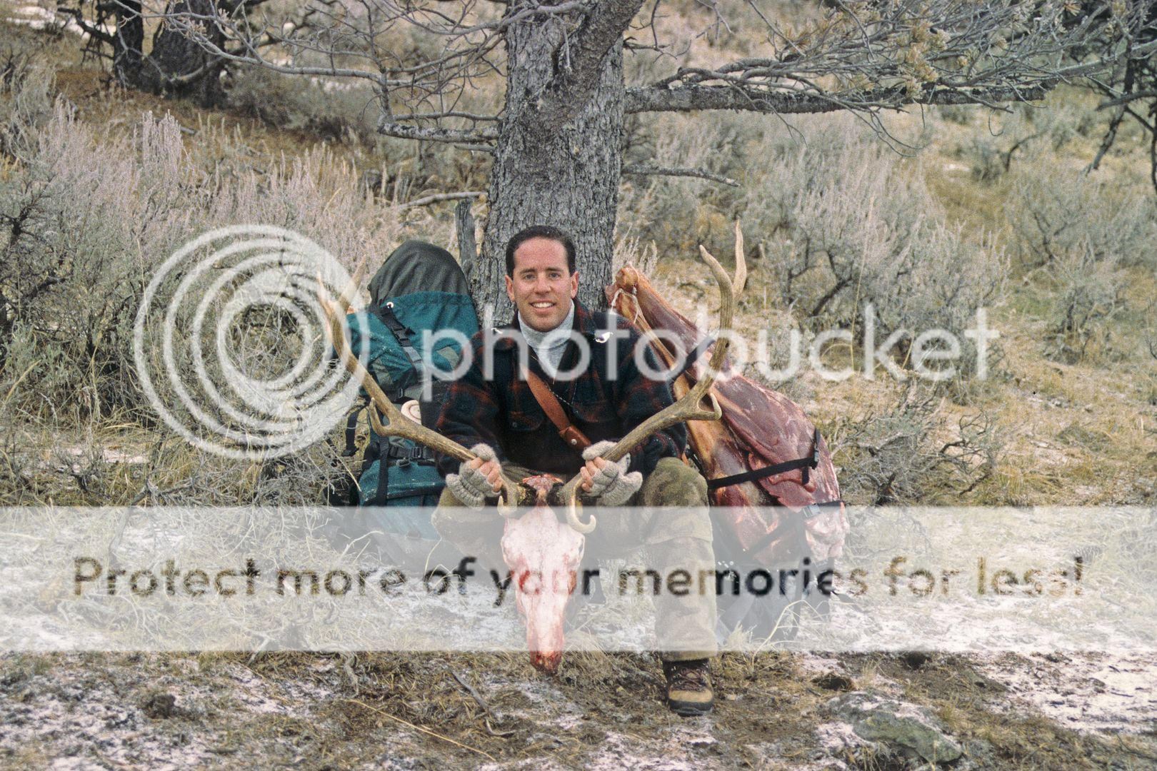 How Much Equipment Is Necessary To Gut An Elk 24hourcampfire