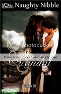 sugarbeat's Books romance novel romance book reviews