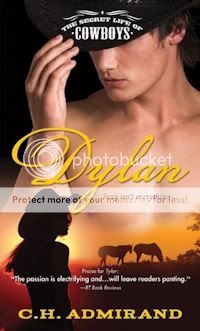 sugarbeats books romance novel romance book reviews dylan CH Admirand